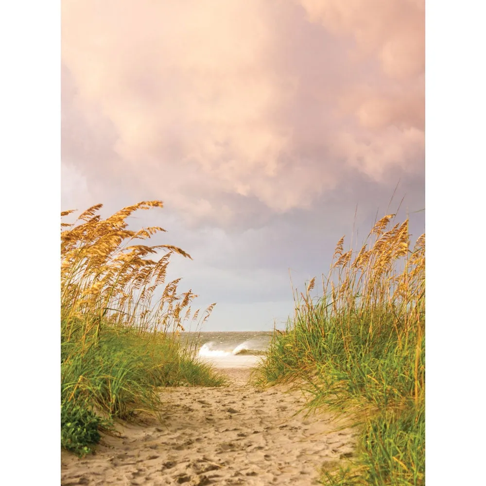 Afternoon Beach Printed Backdrop