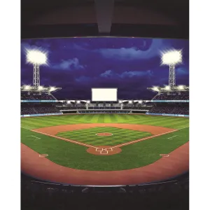 Baseball View Printed Backdrop