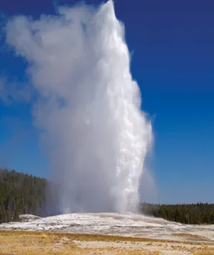 Old Faithful Scenic Printed Backdrop