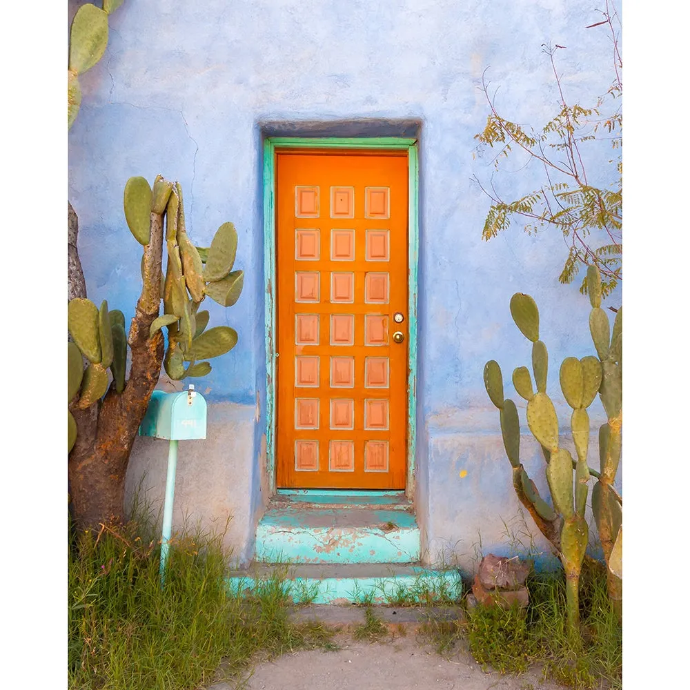 Southwestern Door Printed Backdrop