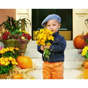 Trick or Treat Door Printed Backdrop